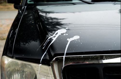 How Do You Clean Bird Droppings, Tree Sap, and Other Hard-to-Remove Substances From a Car's Surface?