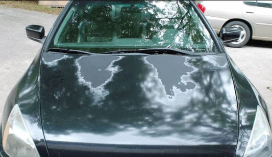 How Can I Prevent My Car's Paint From Fading Due to Prolonged Sun Exposure?